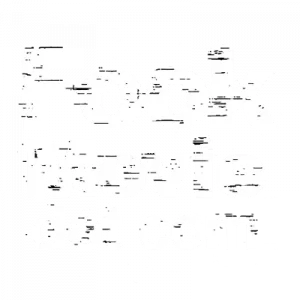 Fook Movie logo
