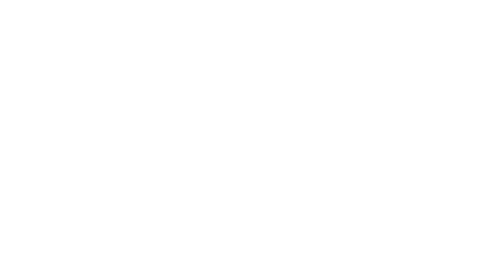Nancy Painter Foundation logo